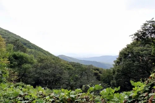 700여년의 역사를 가진 광교산 '고려 창성사지' 가다_4